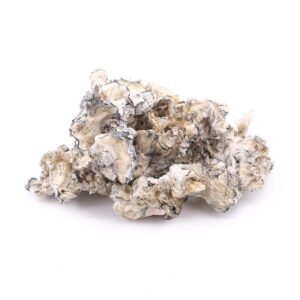 Home Enigma Magic Mushrooms - Mycrochips Chocolates | Premium Magic Gummies | Magic Mushroom Chocolate